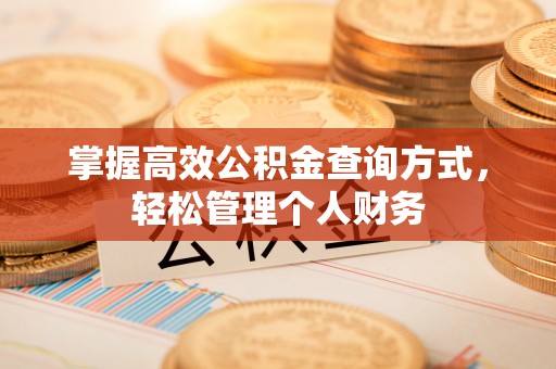 武陵掌握高效公积金查询方式，轻松管理个人财务