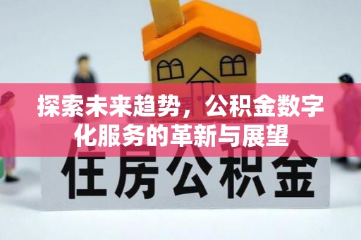 武陵探索未来趋势，公积金数字化服务的革新与展望