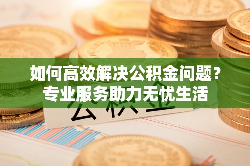 武陵如何高效解决公积金问题？专业服务助力无忧生活