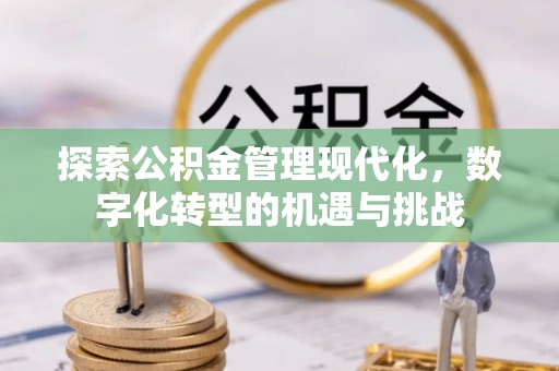 武陵探索公积金管理现代化，数字化转型的机遇与挑战