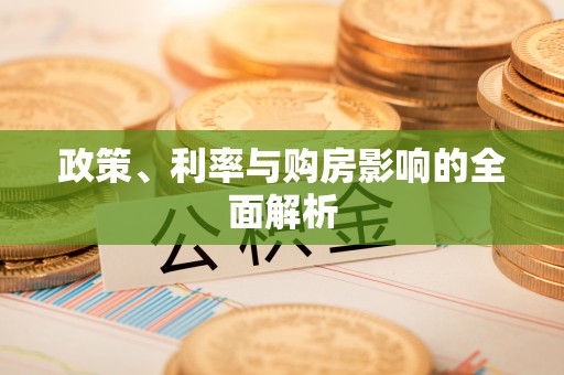 武陵政策、利率与购房影响的全面解析