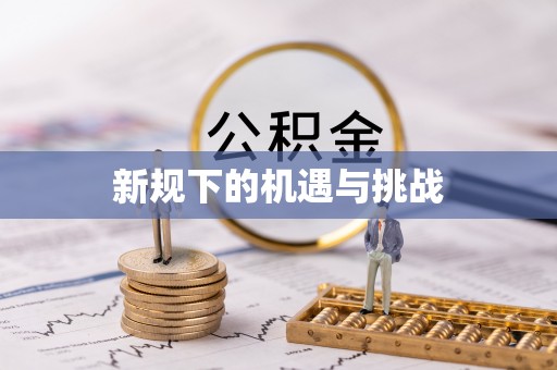 武陵新规下的机遇与挑战