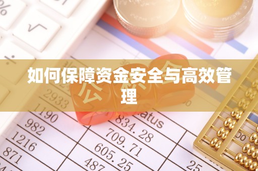 武陵如何保障资金安全与高效管理