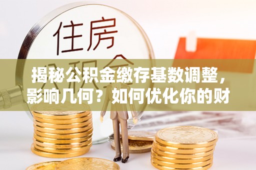 武陵揭秘公积金缴存基数调整，影响几何？如何优化你的财务规划？