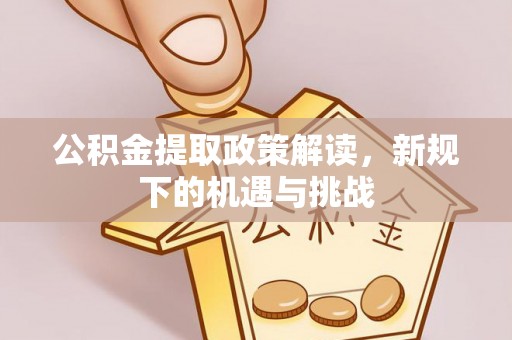 武陵公积金提取政策解读，新规下的机遇与挑战