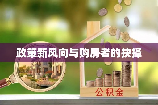 武陵政策新风向与购房者的抉择