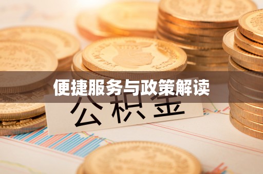 武陵便捷服务与政策解读