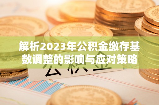 武陵解析2023年公积金缴存基数调整的影响与应对策略