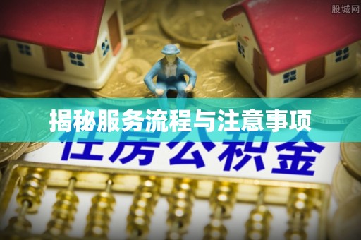 武陵揭秘服务流程与注意事项