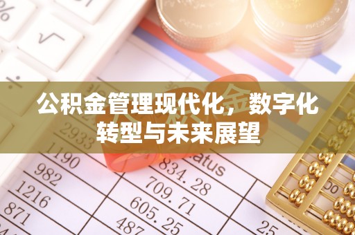 武陵公积金管理现代化，数字化转型与未来展望
