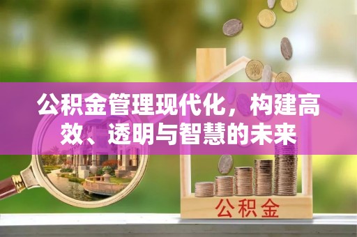 武陵公积金管理现代化，构建高效、透明与智慧的未来