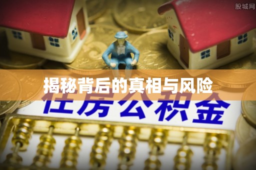 武陵揭秘背后的真相与风险