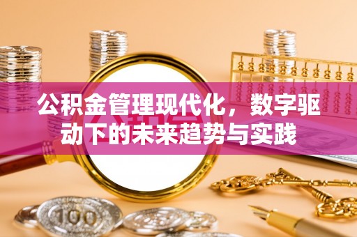 武陵公积金管理现代化，数字驱动下的未来趋势与实践