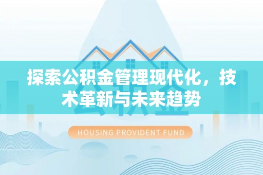 武陵探索公积金管理现代化，技术革新与未来趋势