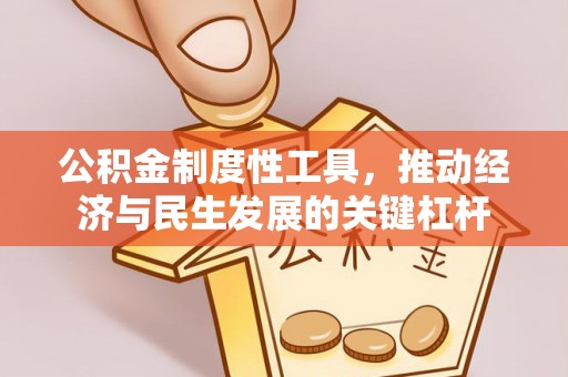 武陵公积金制度性工具，推动经济与民生发展的关键杠杆