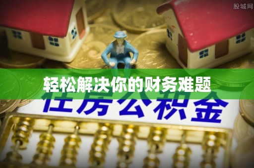 武陵轻松解决你的财务难题