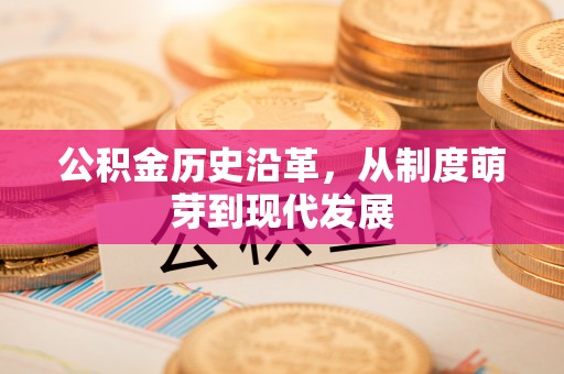 武陵公积金历史沿革，从制度萌芽到现代发展