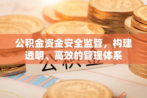 武陵公积金资金安全监管，构建透明、高效的管理体系