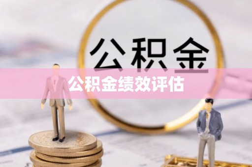 武陵公积金绩效评估