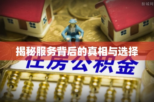 武陵揭秘服务背后的真相与选择