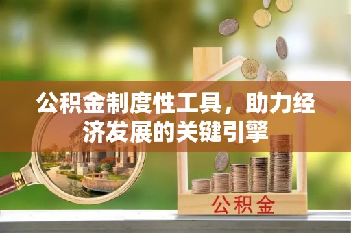 武陵公积金制度性工具，助力经济发展的关键引擎