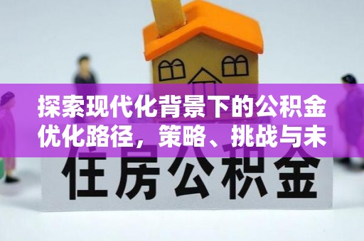 武陵探索现代化背景下的公积金优化路径，策略、挑战与未来展望