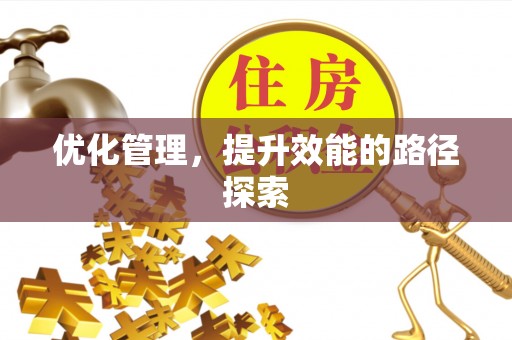 武陵优化管理，提升效能的路径探索