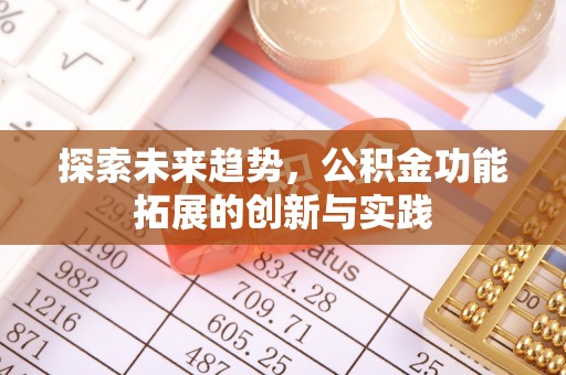 武陵探索未来趋势，公积金功能拓展的创新与实践