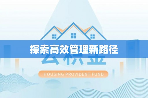 武陵探索高效管理新路径