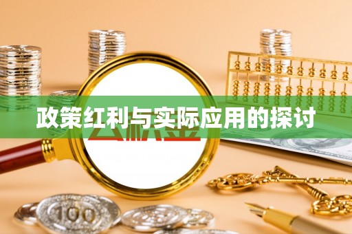 武陵政策红利与实际应用的探讨