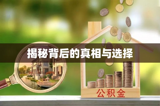 武陵揭秘背后的真相与选择