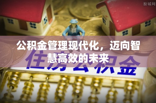 武陵公积金管理现代化，迈向智慧高效的未来