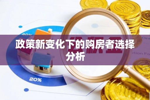 武陵政策新变化下的购房者选择分析