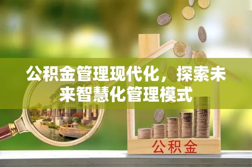 武陵公积金管理现代化，探索未来智慧化管理模式