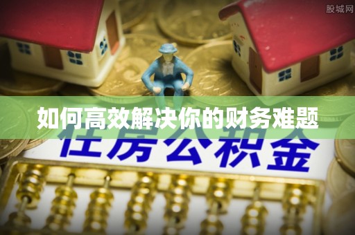 武陵如何高效解决你的财务难题