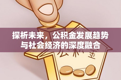 武陵探析未来，公积金发展趋势与社会经济的深度融合