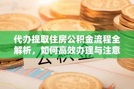 武陵代办提取住房公积金流程全解析，如何高效办理与注意事项
