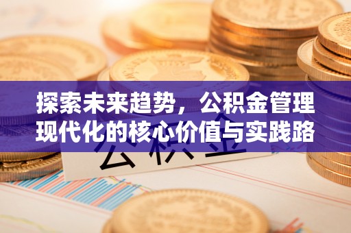 武陵探索未来趋势，公积金管理现代化的核心价值与实践路径