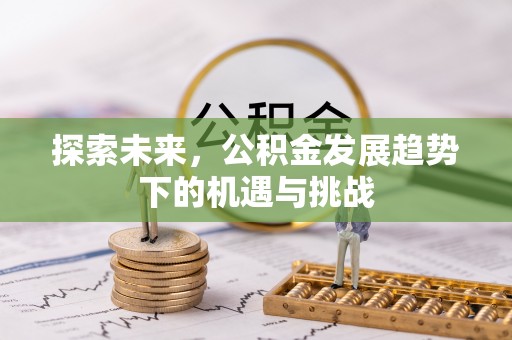 武陵探索未来，公积金发展趋势下的机遇与挑战