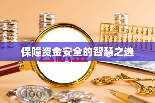 武陵保障资金安全的智慧之选