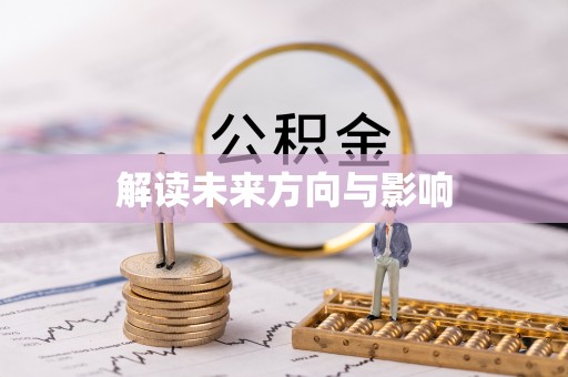 武陵解读未来方向与影响