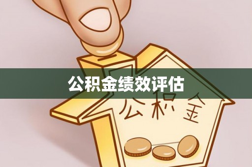 武陵公积金绩效评估