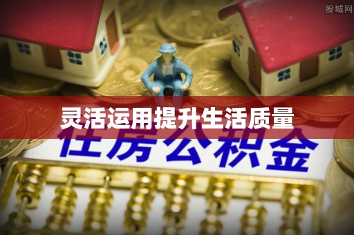 武陵灵活运用提升生活质量