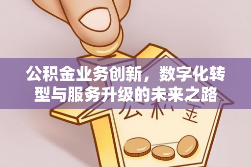 武陵公积金业务创新，数字化转型与服务升级的未来之路