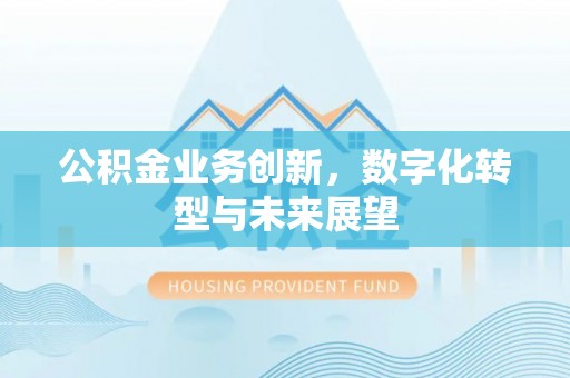 武陵公积金业务创新，数字化转型与未来展望