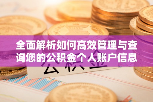 武陵全面解析如何高效管理与查询您的公积金个人账户信息