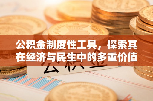 武陵公积金制度性工具，探索其在经济与民生中的多重价值