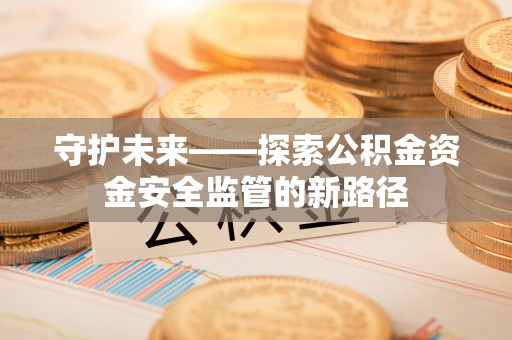 武陵守护未来——探索公积金资金安全监管的新路径