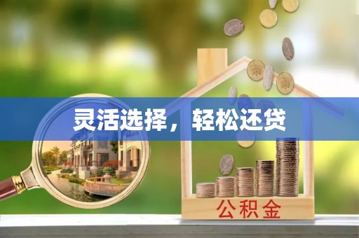 武陵灵活选择，轻松还贷