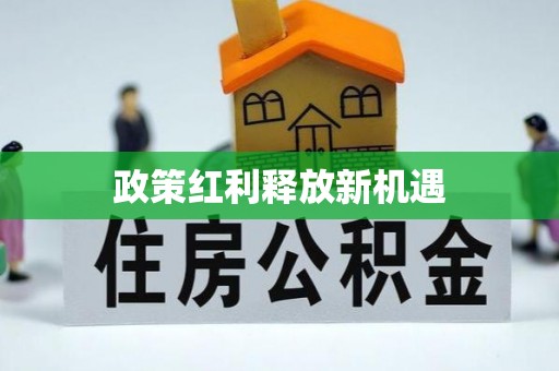 武陵政策红利释放新机遇
